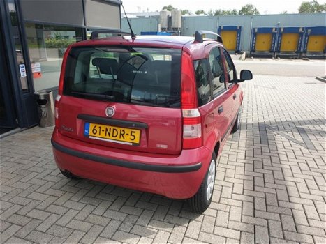 Fiat Panda - 1.2 Edizione Cool - 1