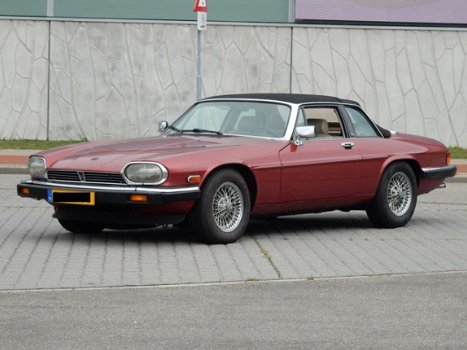 Jaguar XJS - 5.3 V12 Convertible - 1