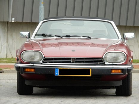 Jaguar XJS - 5.3 V12 Convertible - 1