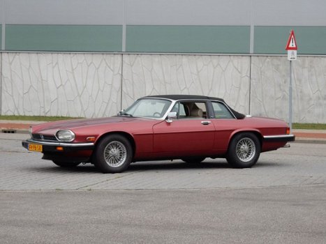 Jaguar XJS - 5.3 V12 Convertible - 1