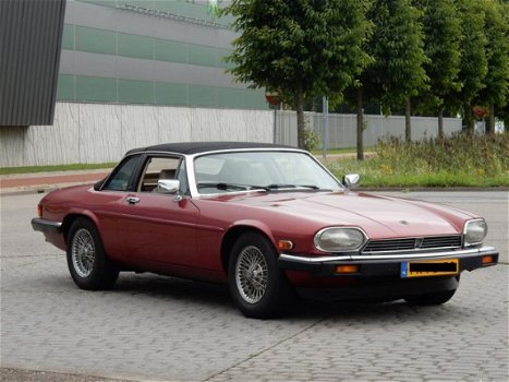 Jaguar XJS - 5.3 V12 Convertible - 1