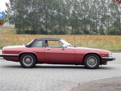 Jaguar XJS - 5.3 V12 Convertible - 1