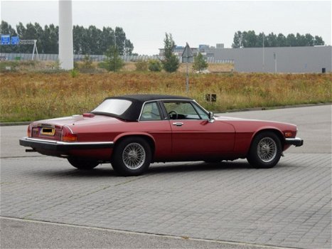 Jaguar XJS - 5.3 V12 Convertible - 1