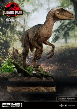 Prime 1 Studio Jurassic Park Statue Velociraptor Closed Mouth Version - 3