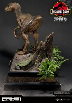 Prime 1 Studio Jurassic Park Statue Velociraptor Closed Mouth Version - 2