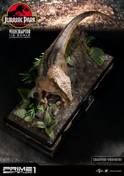 Prime 1 Studio Jurassic Park Statue Velociraptor Closed Mouth Version - 6
