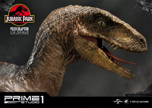 Prime 1 Studio Jurassic Park Statue Velociraptor Open Mouth - 1