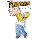 The Simpsons - Spiderpig kaarten bij Stichting Superwens! - 1 - Thumbnail