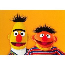 Bert en Ernie kaarten bij Stichting Superwens!