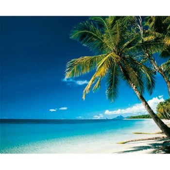 Tropical Beach kaarten bij Stichting Superwens! - 1