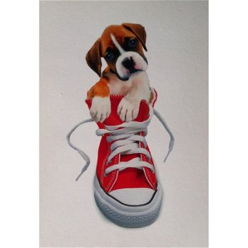 Kimberlin - Dog Sneaker kaarten bij Stichting Superwens! - 1