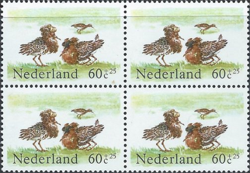 Postzegels Nederland - 1984 Zomerzegels, vogels (60+25ct) - 1