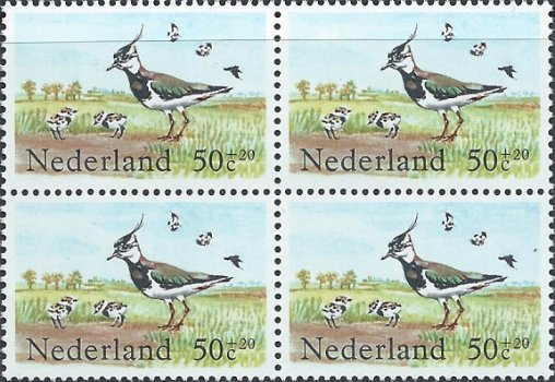 Postzegels Nederland - 1984 Zomerzegels, vogels (50+20ct) - 1