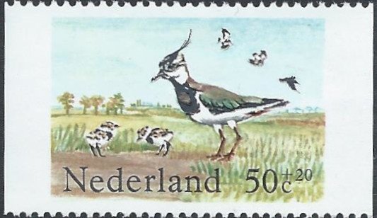 Postzegels Nederland - 1984 Zomerzegels, vogels (50+20ct) - 1