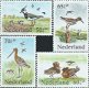 Postzegels Nederland - 1984 Zomerzegels, vogels (serie) - 1 - Thumbnail