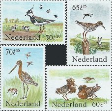 Postzegels Nederland - 	1984 Zomerzegels, vogels (serie)