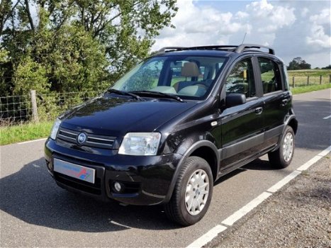 Fiat Panda - 1.2 Climbing 4x4 Leuke 4X4 met N.A.P - 1