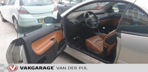 Peugeot 206 CC - 2.0-16V Roland Garros - 1