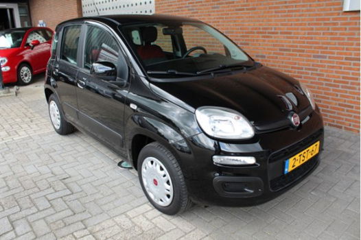 Fiat Panda - TwinAir 80 Edizione Cool - 1