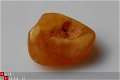 #50 Barnsteen Trommelsteen Amber tumbled stone - 1 - Thumbnail