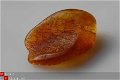 #51 Barnsteen Trommelsteen Amber tumbled stone - 1 - Thumbnail