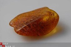 #51 Barnsteen Trommelsteen Amber tumbled stone