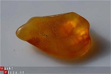 #52 Barnsteen Trommelsteen Amber tumbled stone