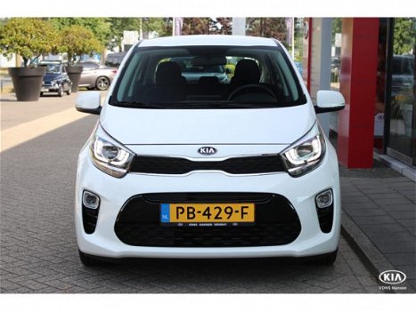 Kia Picanto - 1.0 CVVT First Edition I Navi I ECC I Camera - 1