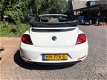 Volkswagen Beetle Cabriolet - 1.2 TSI Trend BlueMotion AC/Elektrisch - 1 - Thumbnail