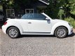 Volkswagen Beetle Cabriolet - 1.2 TSI Trend BlueMotion AC/Elektrisch - 1 - Thumbnail