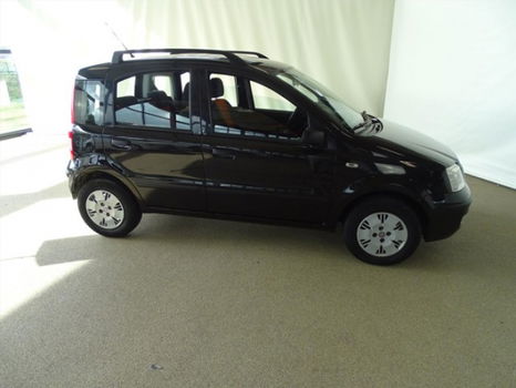 Fiat Panda - 1.2 Edizione Cool - 1