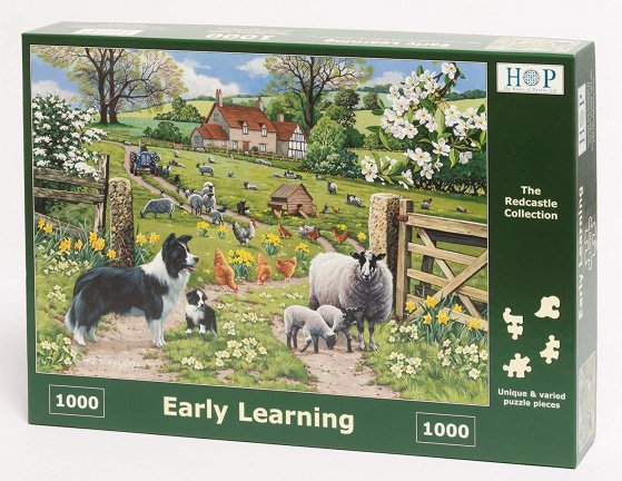 House of Puzzles - Early Learning - 1000 Stukjes Nieuw - Afbeelding 2