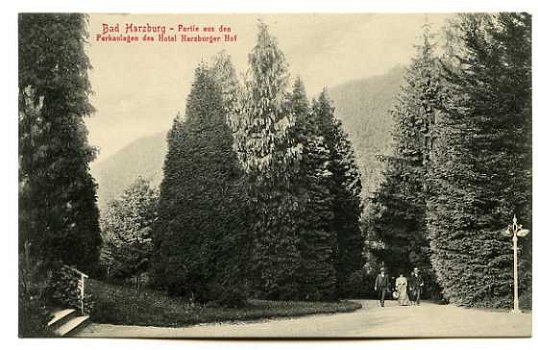 F115 Bad Harzburg Partie aus den Parkanlagen / Duitsland - 1