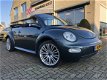 Volkswagen New Beetle Cabriolet - 1.4 Elek.kap / LM-Velgen - 1 - Thumbnail