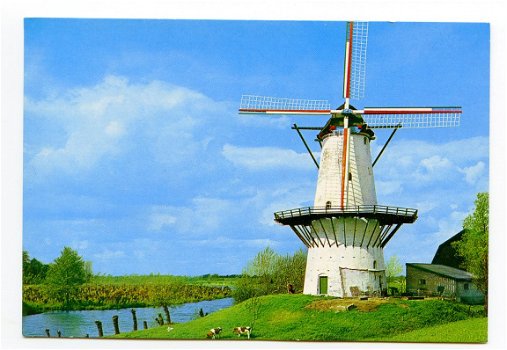 H041 Deil Molen de Vlinder / Korenmolen 1913 - 1