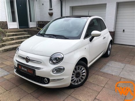 Fiat 500 - 1.2 | Navi | Pano | Cruise - 1