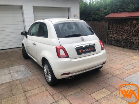 Fiat 500 - 1.2 | Navi | Pano | Cruise - 1