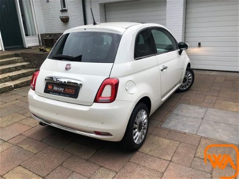 Fiat 500 - 1.2 | Navi | Pano | Cruise - 1