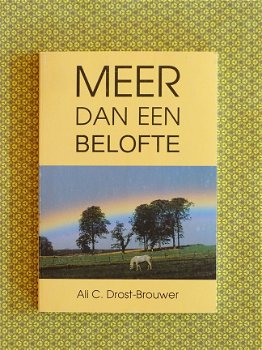 Ali C. Drost-Brouwer - Meer dan een belofte - 1