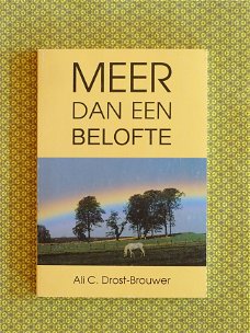 Ali C. Drost-Brouwer - Meer dan een belofte