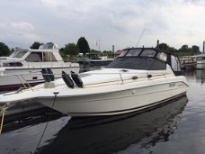 Sea Ray Sundancer 300 DA