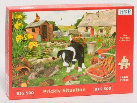 House of Puzzles - Prickly Situation - 500 XL Stukjes Nieuw - 2