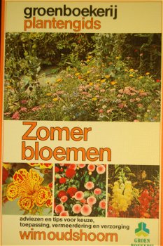 Zomerbloemen - 1