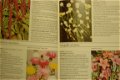 Zomerbloemen - 2 - Thumbnail