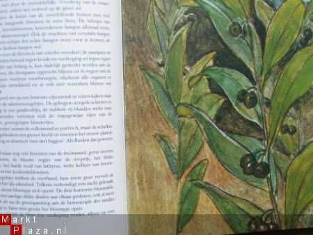 Omgang met Planten - Afbeelding 2