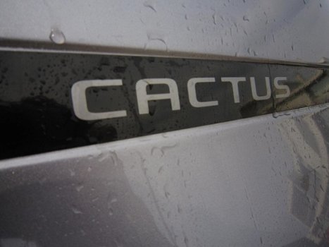 Citroën C4 Cactus - 1.2 PureTech Shine - 1