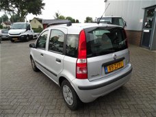 Fiat Panda - 1.2 Dynamic