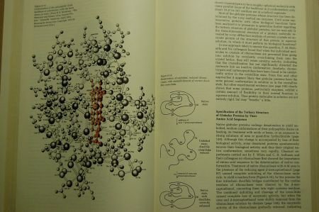 Lehninger: Biochemistry - 3