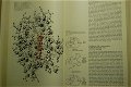 Lehninger: Biochemistry - 3 - Thumbnail