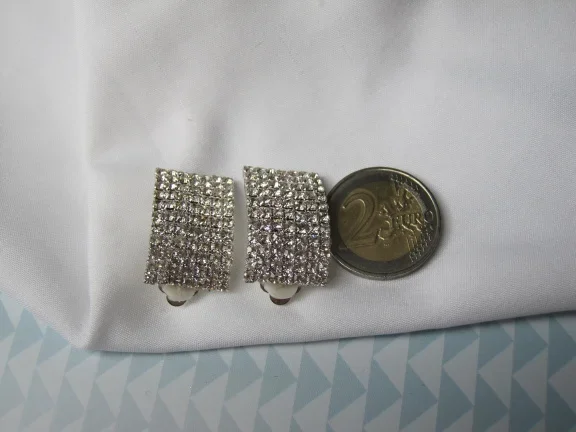 Oorbellen zilverkleurig rechthoekig model met 77 kristal rijnsteentjes 2.7x1.7 cm - Afbeelding 2